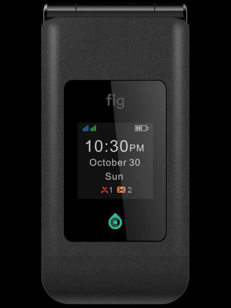 Fig Mini